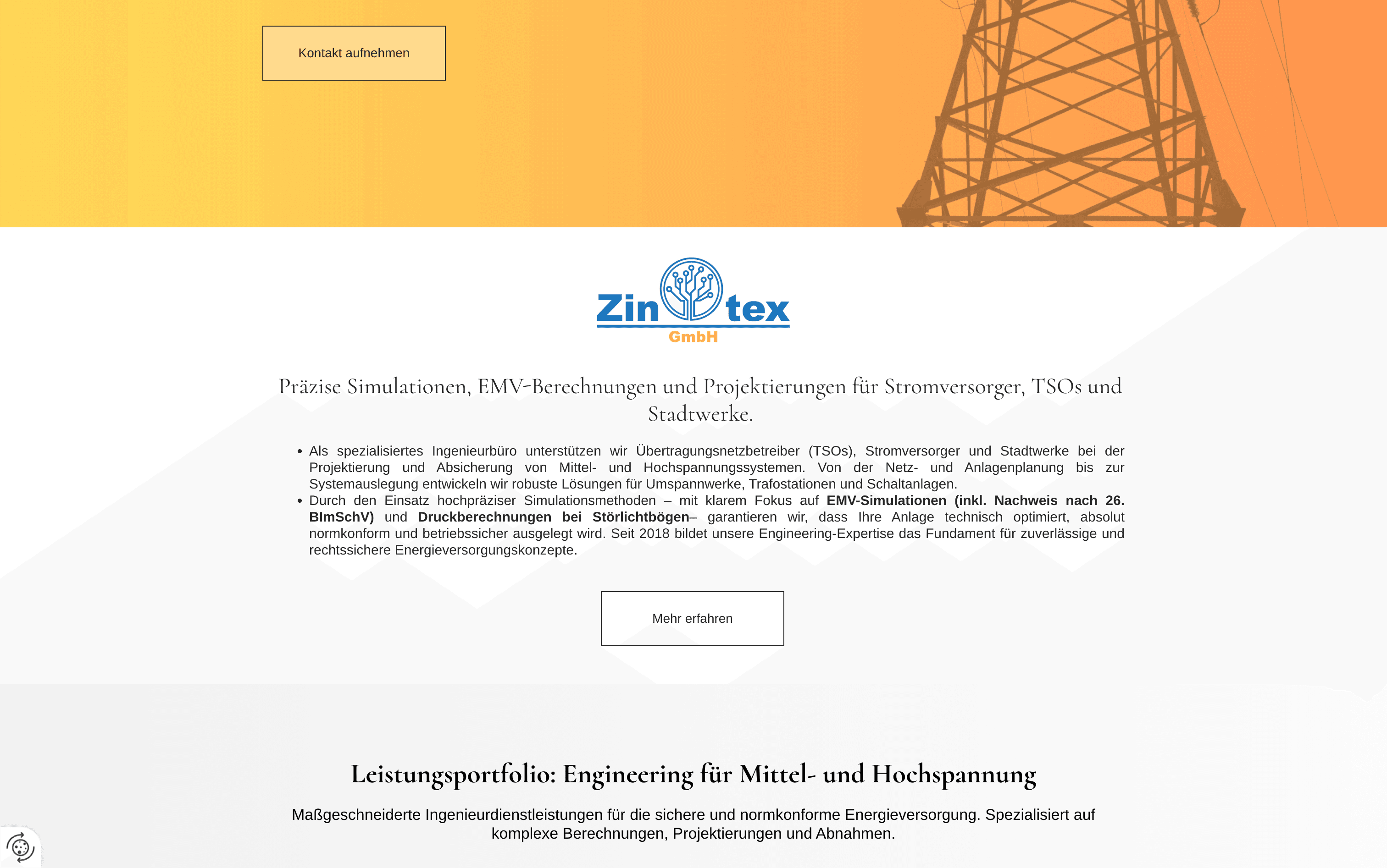 Thumbnail for Zinotex Structured Service Architecture