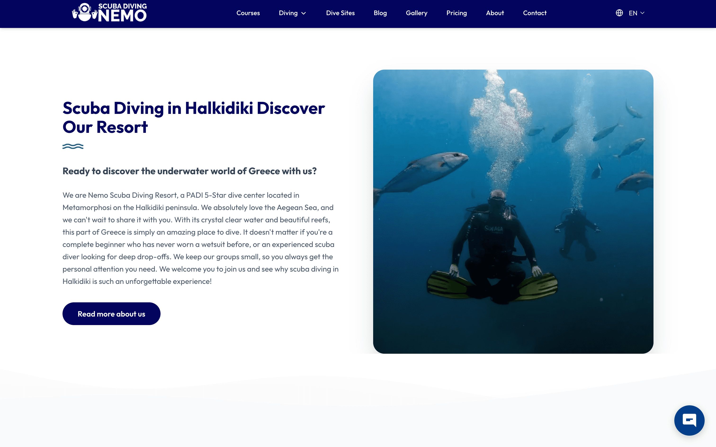 Scuba Diving Nemo diving experiences website design